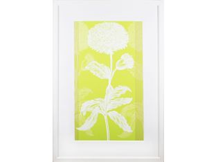 Custom Efflorescence I 21W x 31H
