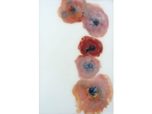 Poppies II  30W X 46H