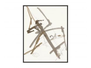 Flight Patterns II 38W X 48H SILVER FRAME