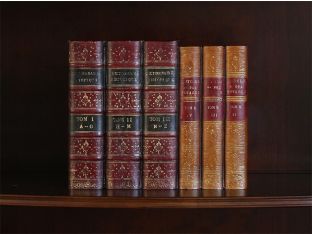 False Book Panel - Dictionnaire Historique