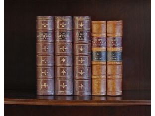 False Book Panel - Woods Natural History