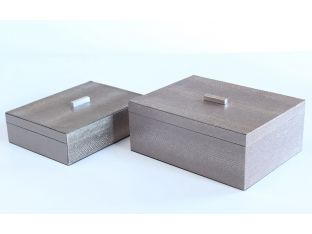 Set of 2 Faux Alligator Silver Boxes
