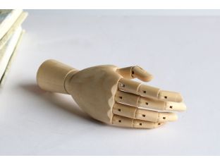 Articulated Model Hand