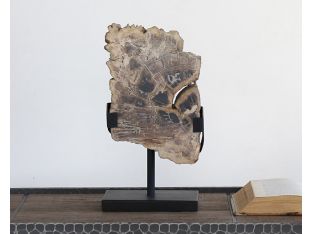 White Petrified Wood Slice