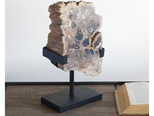 White Petrified Wood Slice