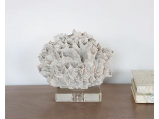 Coral Sculpture on Glass