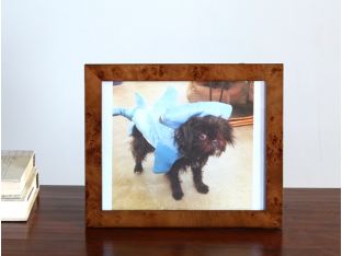 Dark Burled Wood 8x10 Picture Frame