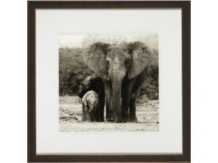 A Protective Mother 21.75W x 21.75H
