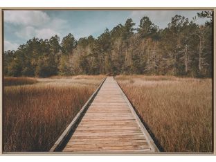 Bottomlands 36W X 24H