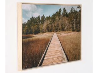 Bottomlands 36W X 24H