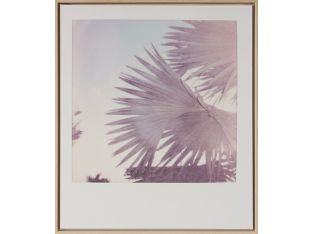 Coastal Breeze 24W X 28H