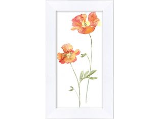 Cali Collection 16 8W X 14H