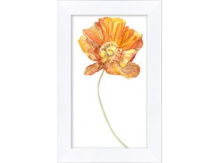 Cali Collection 15 8W X 14H