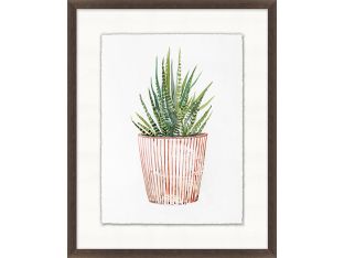 Decorated Succulent 2 17W X 21H