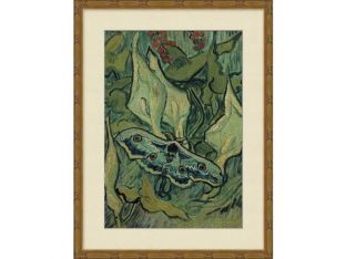 Emperor Moth 18W X 23H
