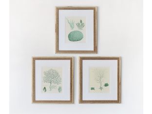 Teal Ocean Collection I (Set of 3) 15W x 18H