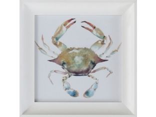 Aquatic Assortment 17 10W x 10H