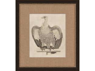 Antique Eagle 17W x 19H