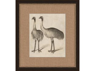 Antique Ostrich 17W x 19H