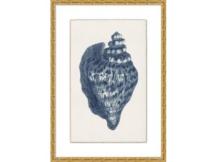 Navy Shell 1  23W X 32H