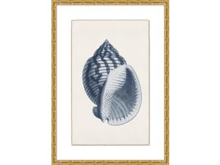 Navy Shell 2  23W X 32H