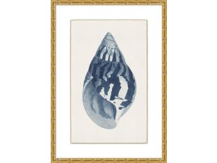 Navy Shell 4  23W X 32H