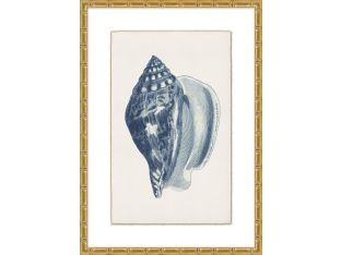 Navy Shell 6  23W X 32H