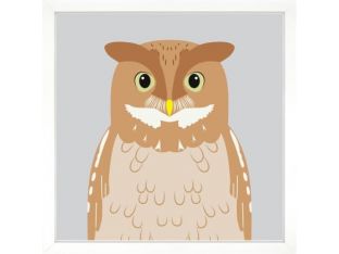 Zoo Portrait V - Owl 24W X 24H